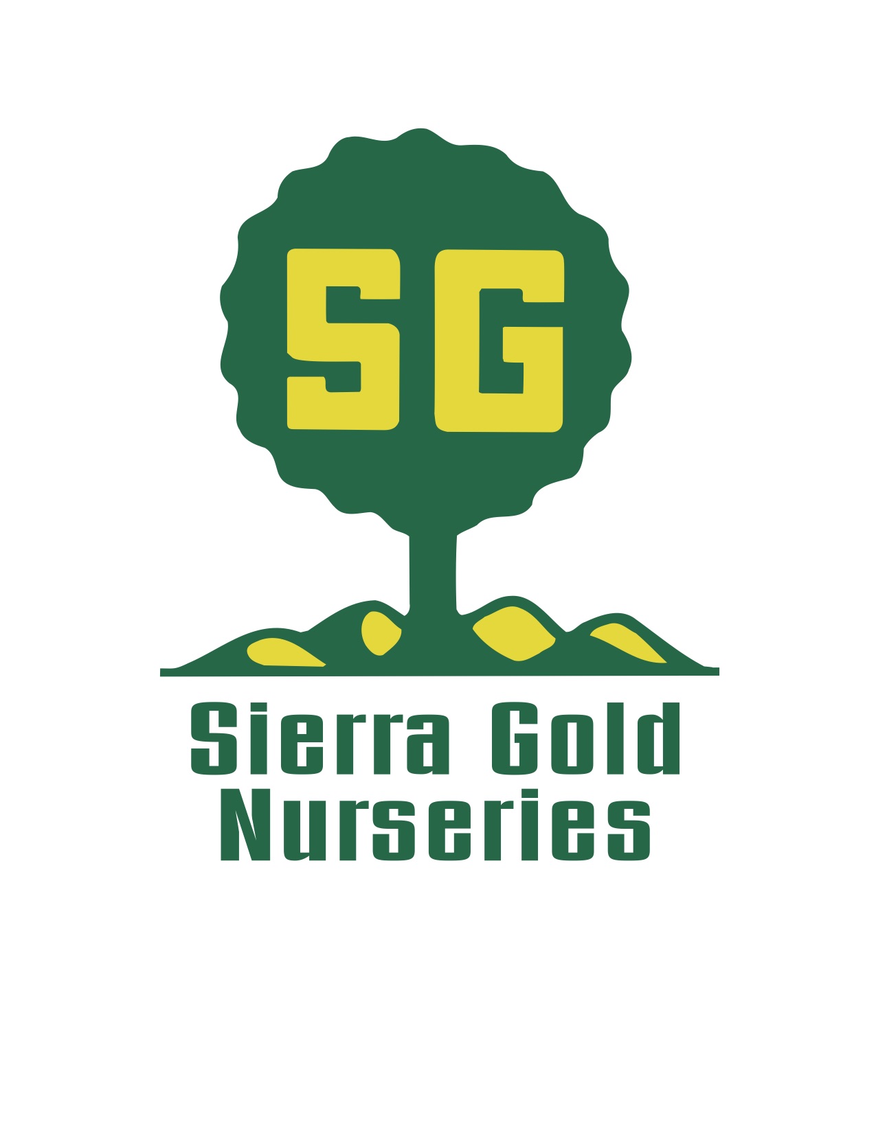 Olive Tree Sources California Oil Council Olive Tree Sources California